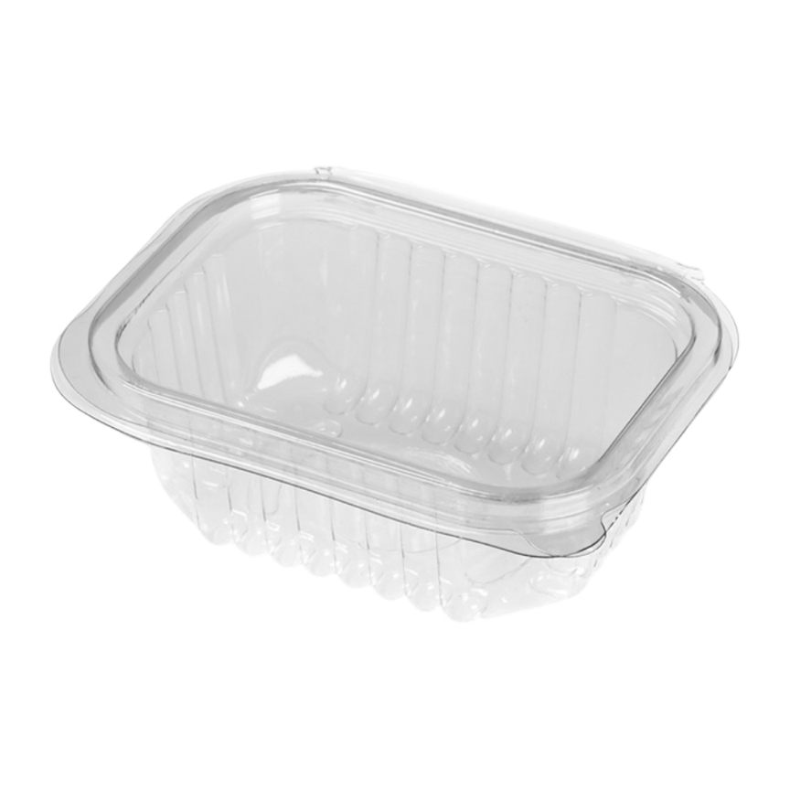 Env. Rect. Bisagra PET 170ml Mod.161 (1x1000)